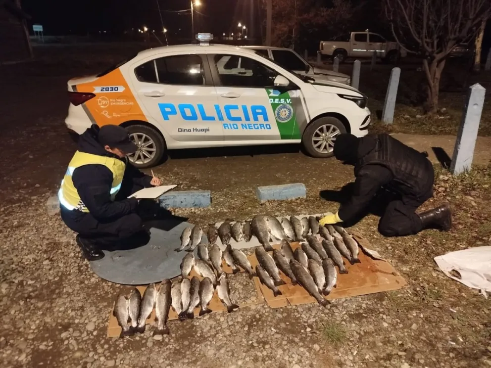 Personal policial constató múltiples infracciones a la normativa vigente sobre pesca. Foto: Prensa Policía de Río Negro.