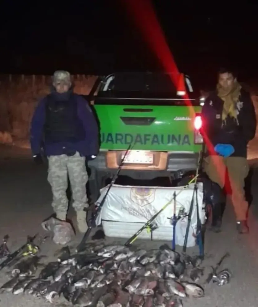 El total de piezas incautadas asciende a 54 truchas arco iris, 1 trucha marrón y 2 percas.