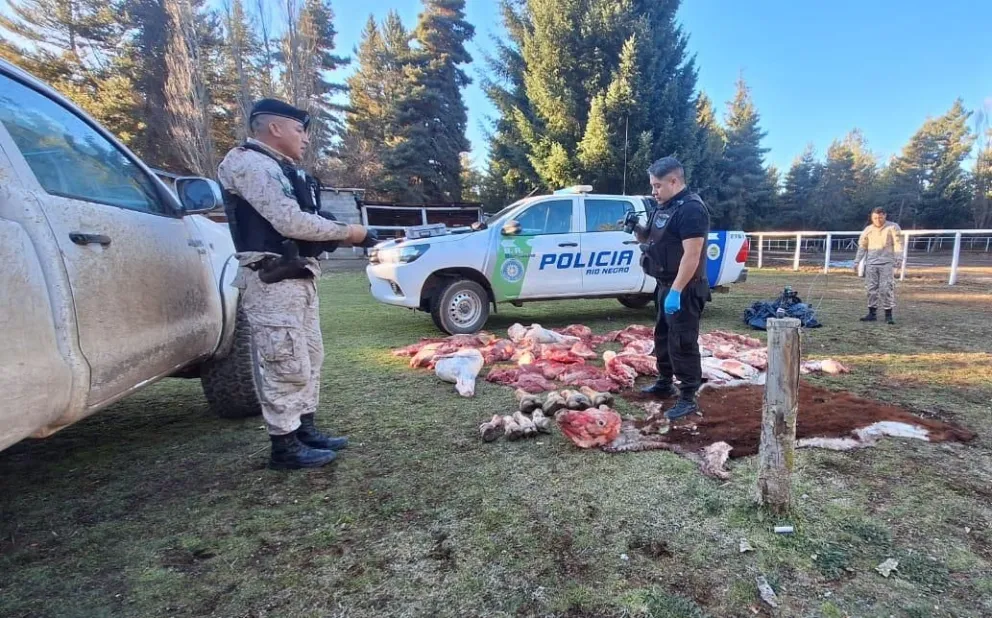 En el procedimiento se secuestró carne faenada que era transportada de manera ilegal. Foto gentileza