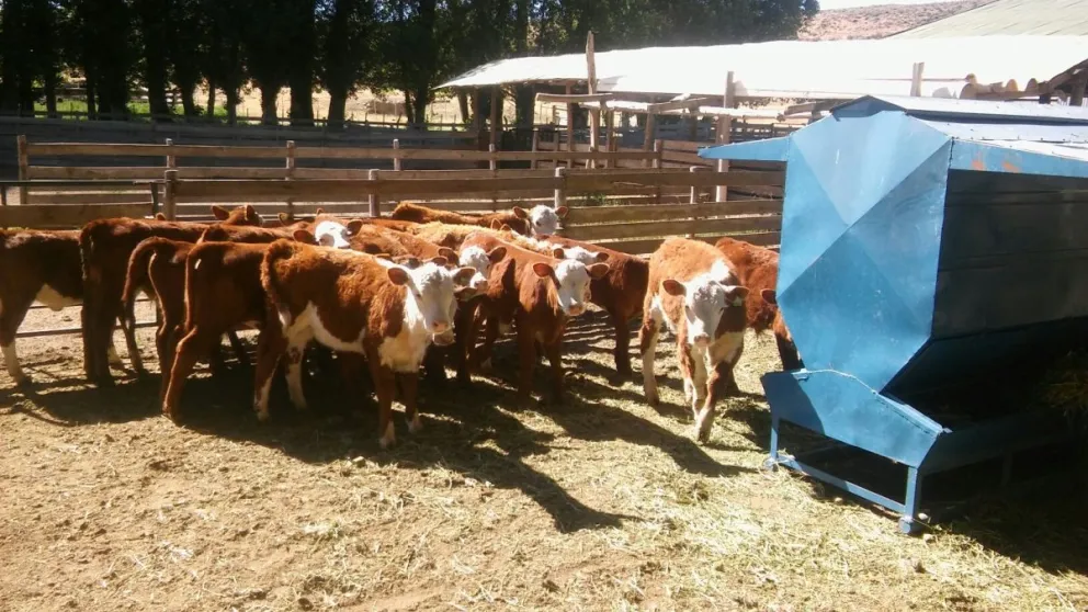 La prórroga vigente vence el 16 de junio y luego se extenderá 60 días más. Foto: Ilustrativa.