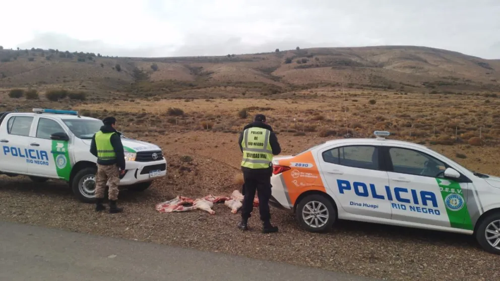 El control se realizó esta mañana en cercanía a Dina Huapi. Foto gentileza. 
