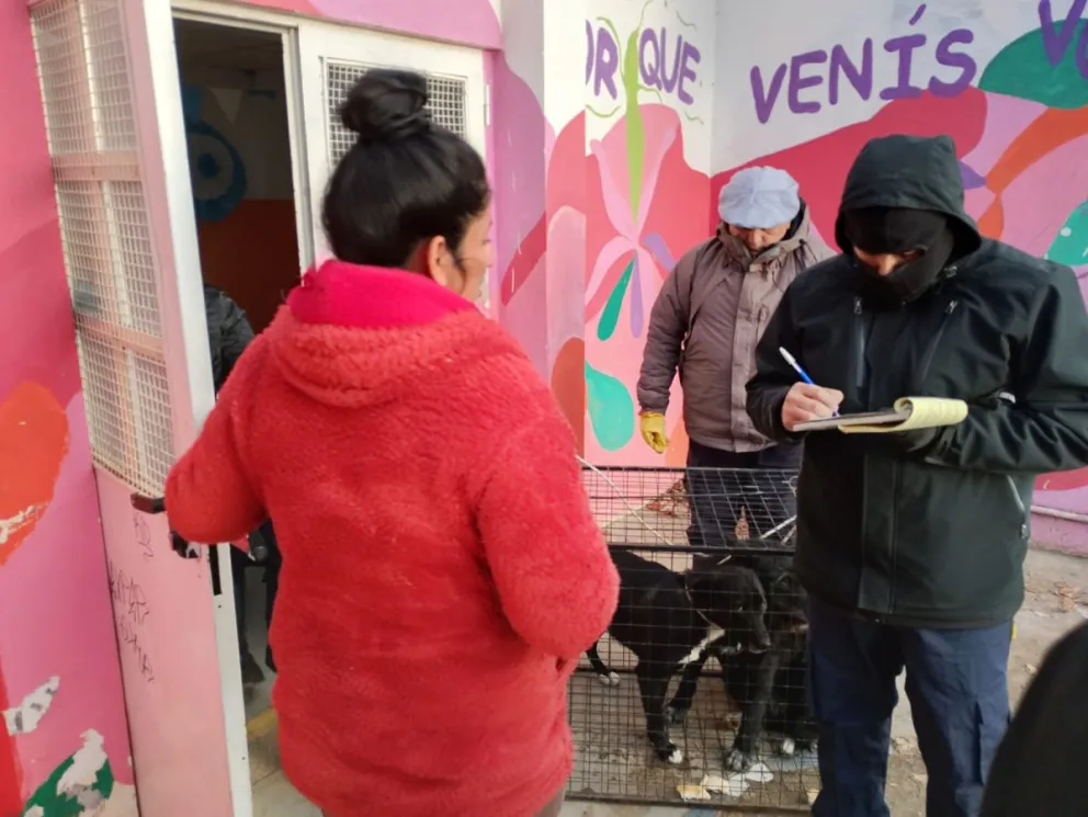 Se procedió a la captura segura de tres canes que deambulaban sin supervisión. Foto: Bariloche Informa.