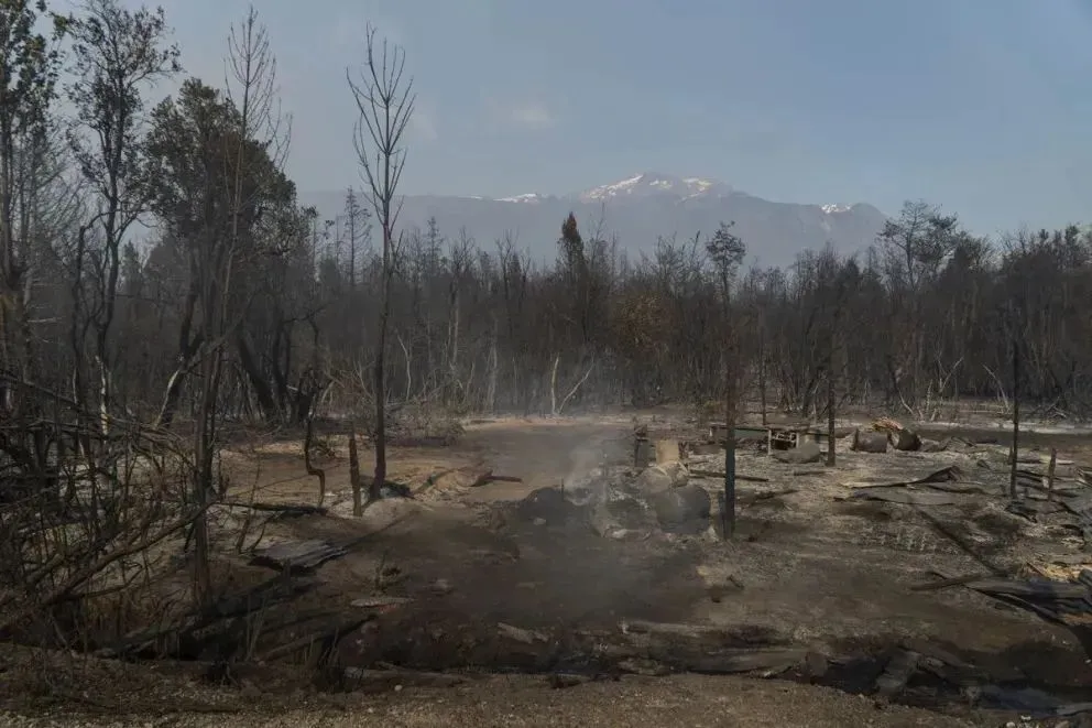 El gran incendio que comenzó el 30 de enero arrasó con más de 3800 hectáreas de bosque. Foto: Marcelo Martínez.