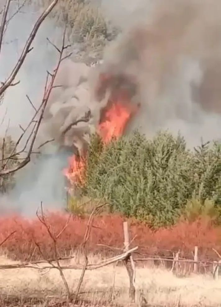El fuego inició este jueves por la tarde y afortunadamente, pudo ser controlado. Foto: captura de video.