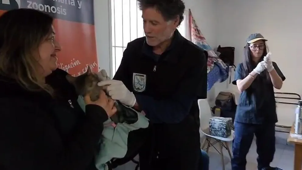 Solo en la jornada de este sábado 19 se desparasitó a más de 140 mascotas en el barrio Los Abedules. Foto: Bariloche Informa.