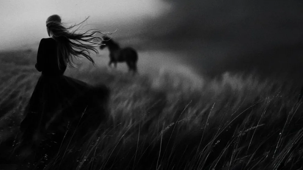 La obra se convirtió en un suceso en Bariloche. Foto gentileza