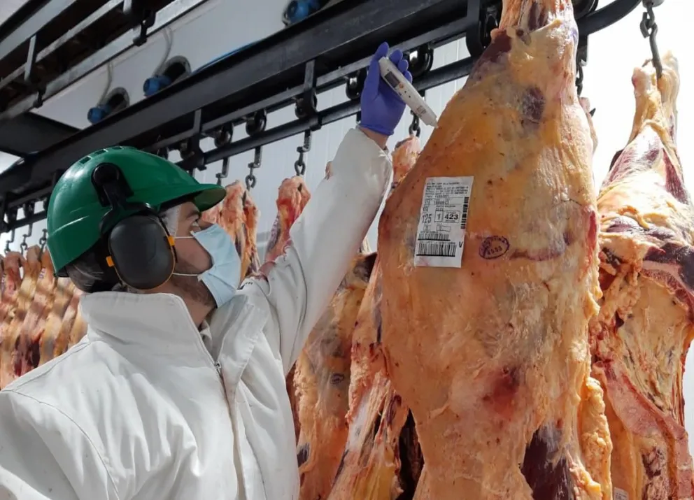 La Cámara de Trabajo de Bariloche entendió que el despido no tuvo otra causa que la condición de salud del trabajador.