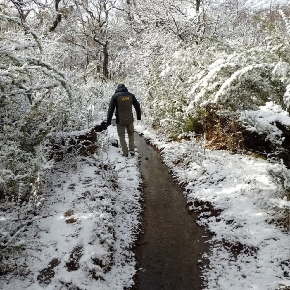 Estar atentos a las condiciones y recomendaciones sugeridas. Foto gentileza