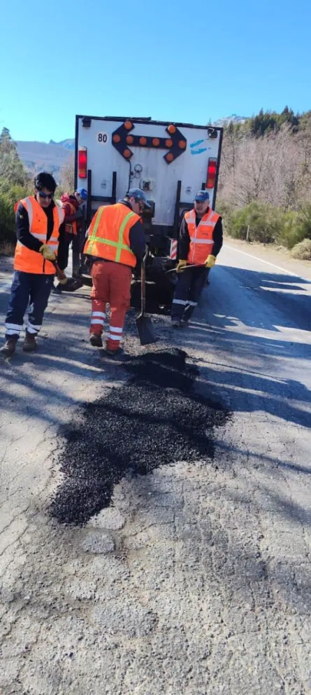 Los trabajos se realizan entre El Bolsón y Bariloche. Foto: gentileza.