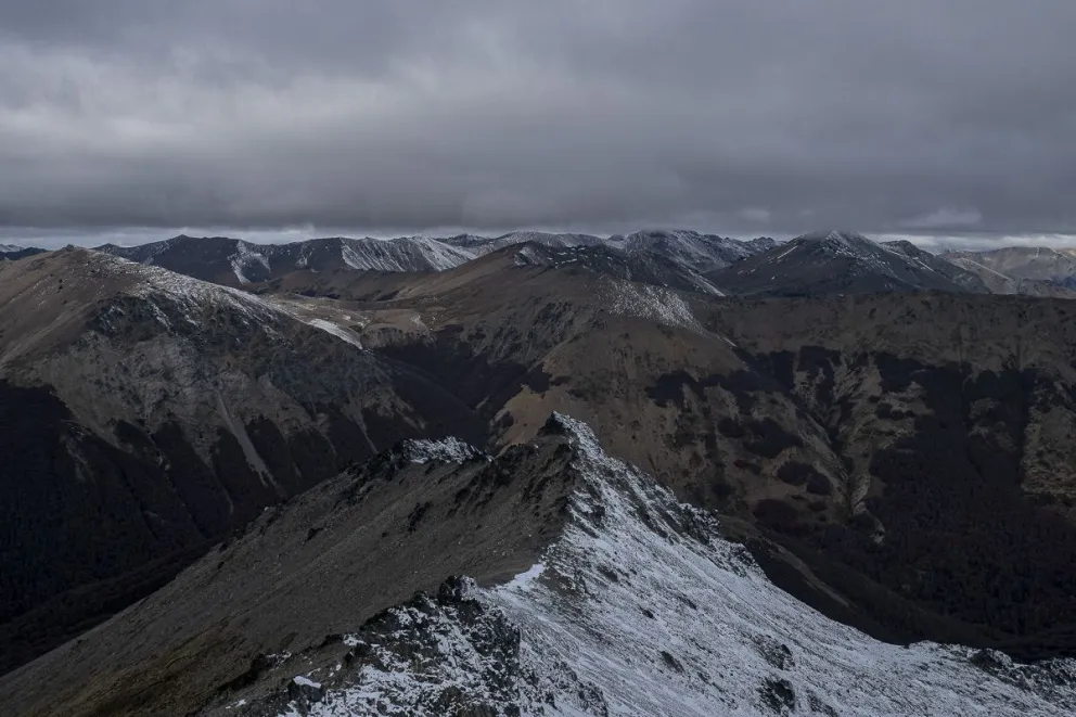 La falta de nieve y lluvias, generan un impacto negativo directo en los bosques de la región. Foto; Marcelo Martínez.