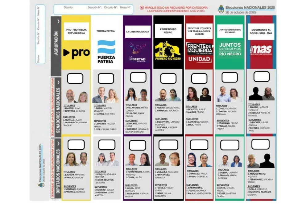 Se dio a conocer la disposición, diseño, color y simbolos de la boleta única de papel. 