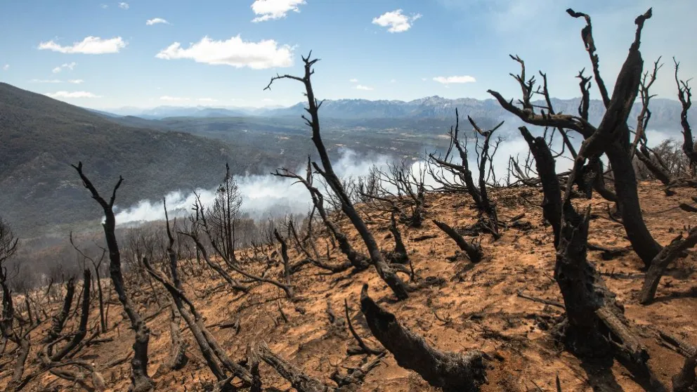 El fuego consumió 3800 en la zona denominada "confluencia". Foto gentileza: Pablo Alcorta