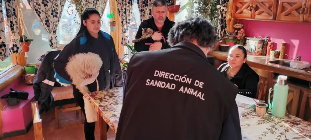 Continúan las campañas por distintos barrios de la ciudad. Foto gentileza