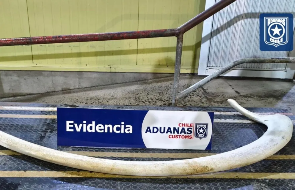 El ciudadano chileno enfrentará una causa judicial. Foto gentileza
