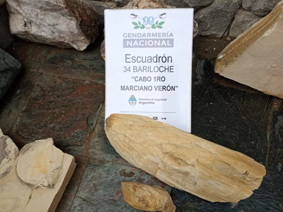 El operativo permitió obtener piezas de millones de años. Foto gentileza