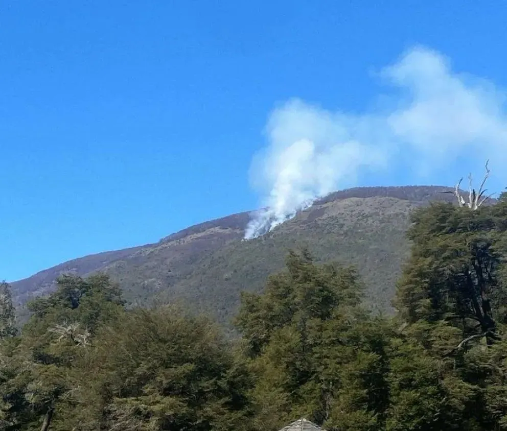 El fuego se habría desatado en una zona de vegetación sumamente tupida. Foto: Gentileza.