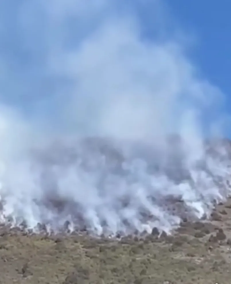 El fuego consumió 11, 6 hectáreas de bosque. 