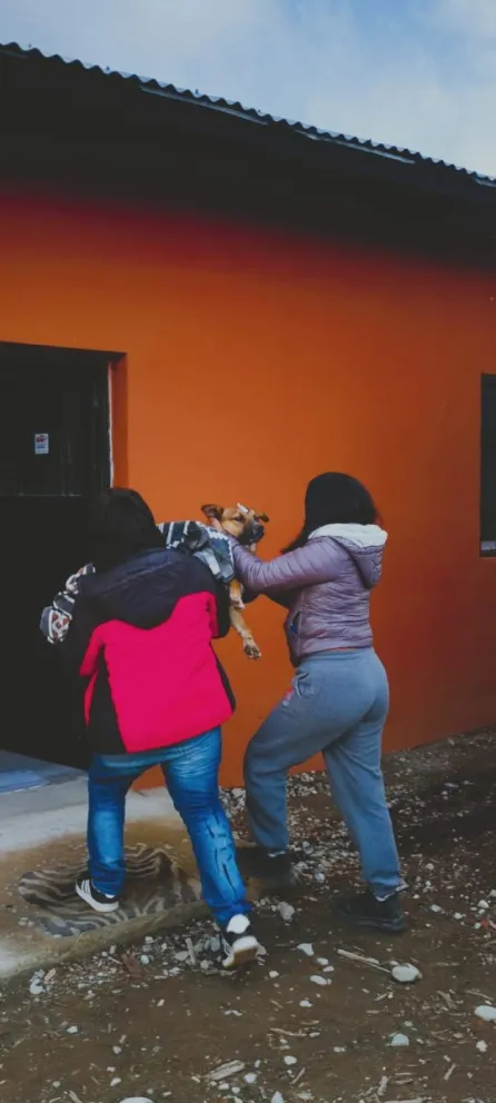 La próxima parada del quirófano móvil será en el barrio El Pilar. Foto: Bariloche Informa.