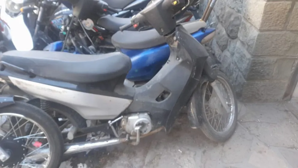 Fueron por un delito y terminaron descubriendo otro. Foto gentileza. Policia RN