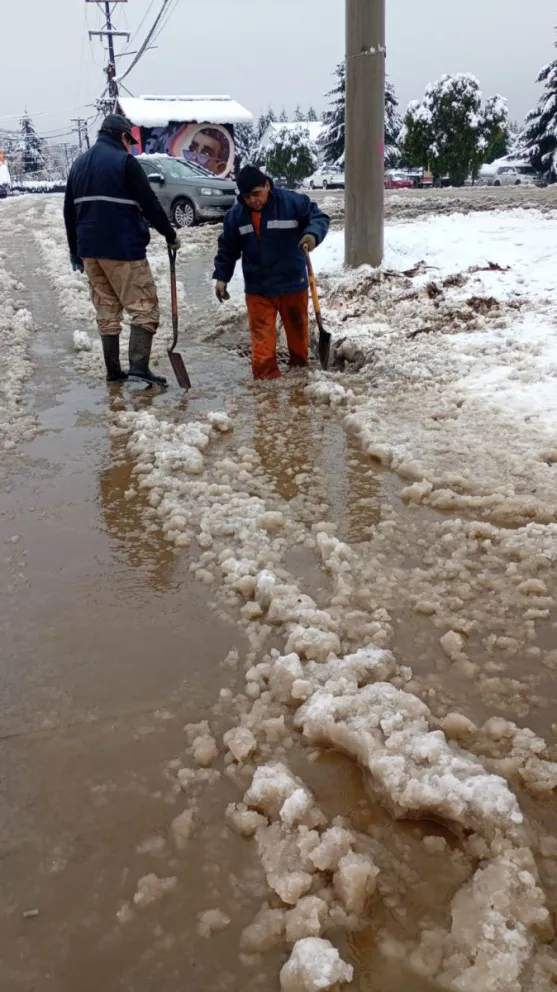 Se encuentra habilitada la línea de mensajes +54 2944 579695 para consultas y reportes. Fotos: Bariloche informa.