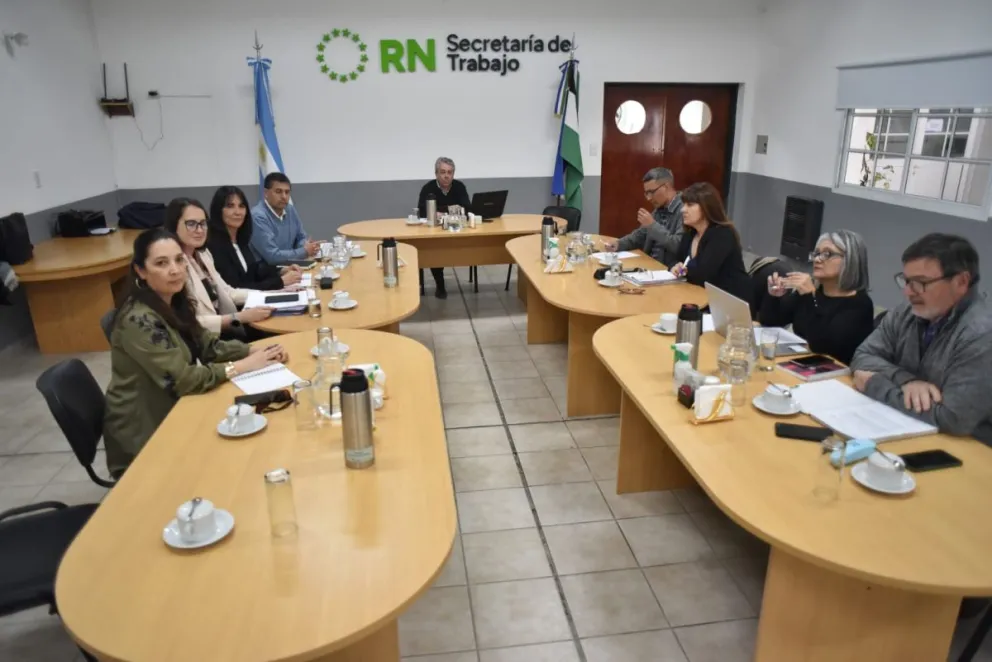 La audiencia paritaria se retomó cerca de las 14 horas de este martes. Foto gentileza. 