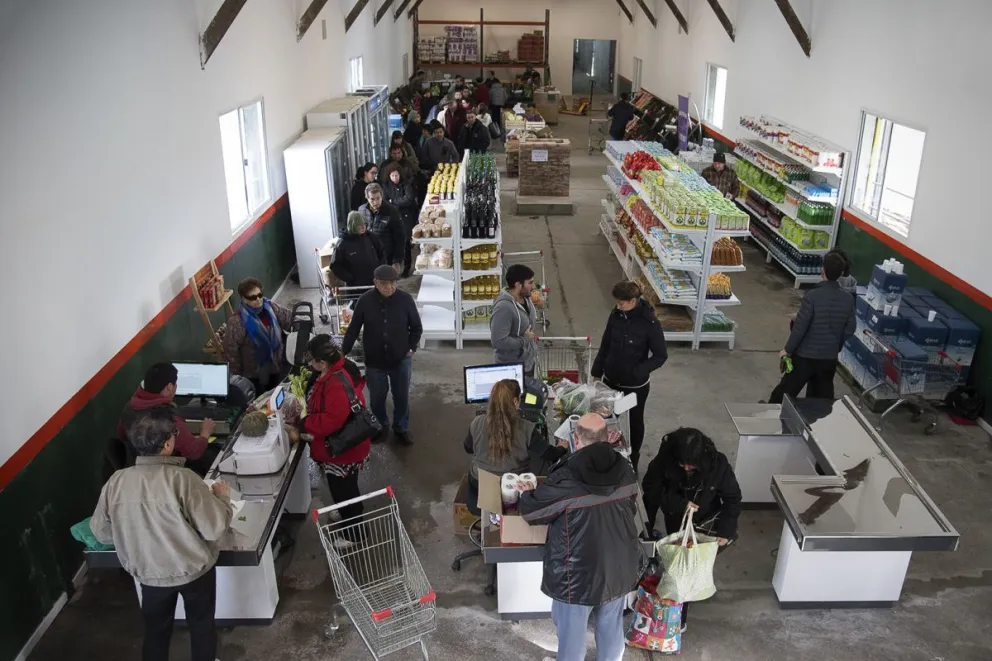 Asi como sucedió para Navidad, vuelve la venta de chivos y corderos para año nuevo. Foto ilustrativa: Marcelo Martínez