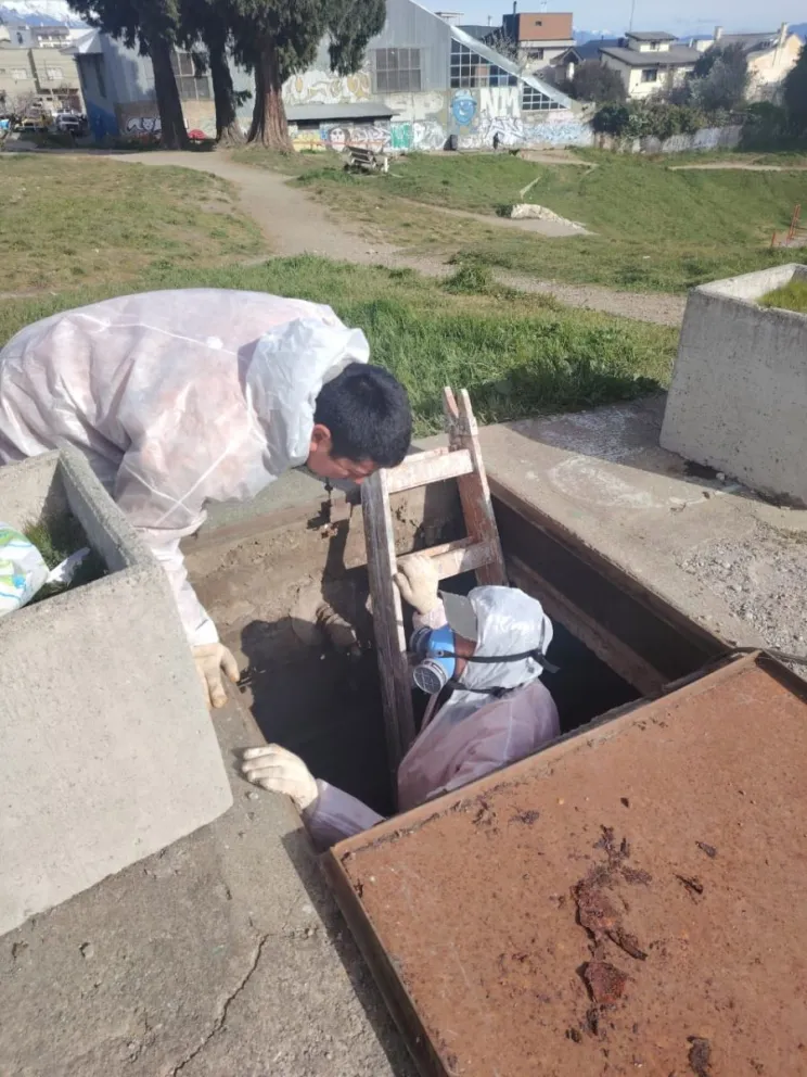 Los trabajos estuvieron a cargo de empleados de la Delegación Centro. Foto: Municipalidad de Bariloche.