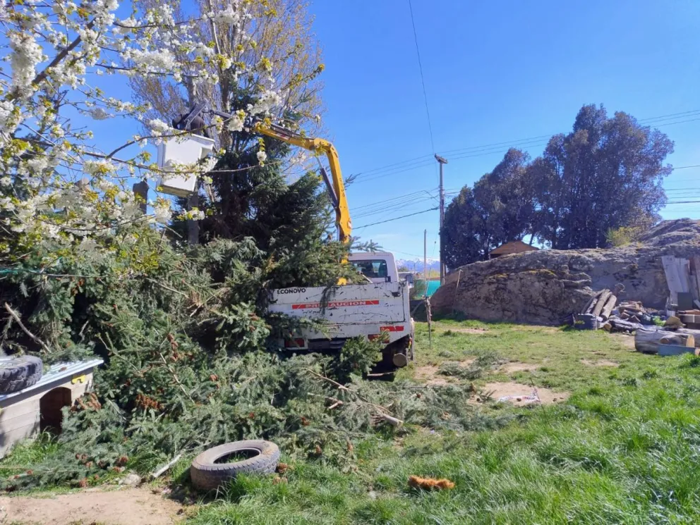 Las obras comenzaron con la limpieza y extracción de raíces del terreno donde estará el Centro Comunitario. Fotos: Municipalidad de Bariloche.