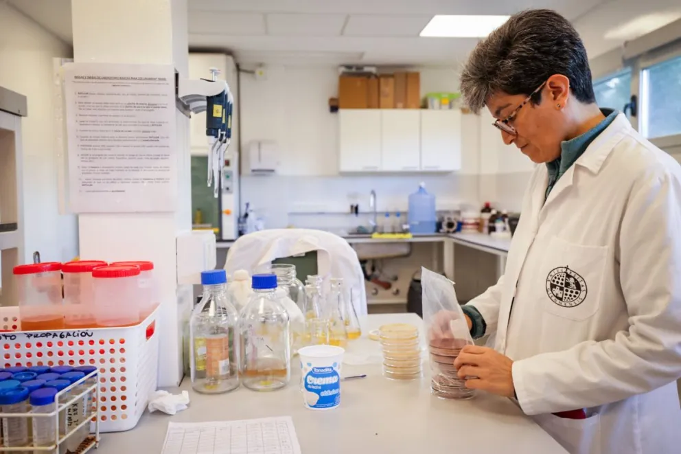 El acuerdo tendrá una vigencia inicial de 18 meses y será coordinado por la Secretaría de Energía y Ambiente junto al IPATEC. Foto gentileza