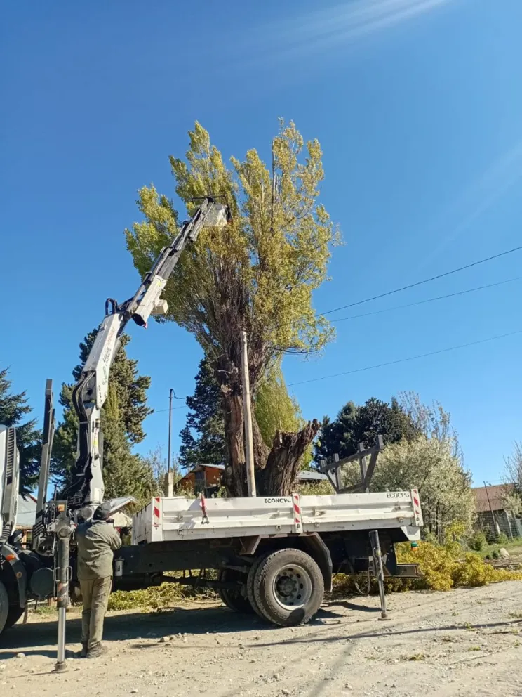 El trabajo se centró en el barrio La Cumbre. Foto: Municipalidad de Bariloche. 