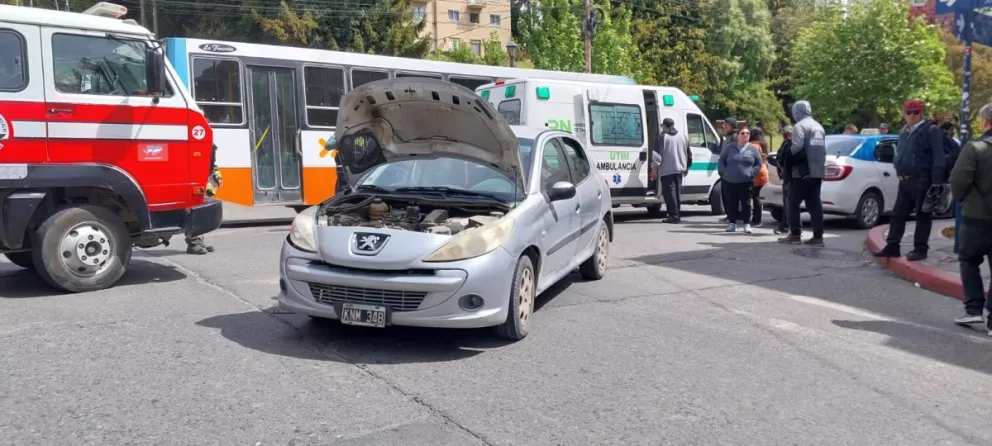 El tránsito se vio alterado durante varios minutos. Foto gentileza