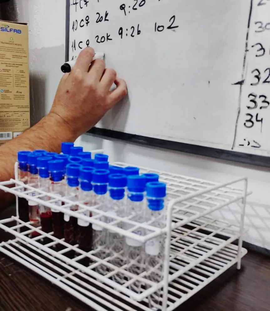 Hasta el momento se tomaron 100 muestras. Foto gentileza