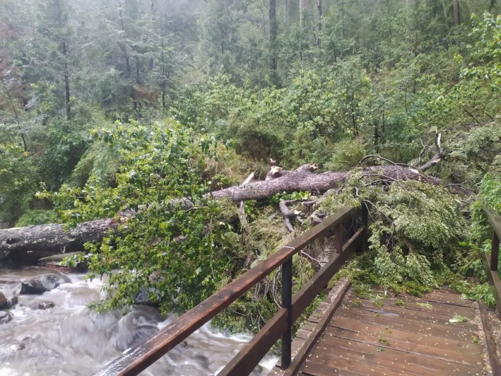 El sendero permanecerá cerrado hasta nuevo aviso. Foto: Prensa Parques Nacionales.
