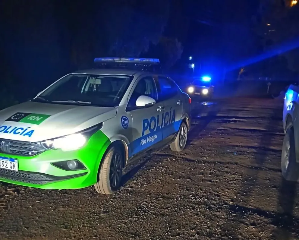 El episodio se registró por una denuncia a 911 y por las cámaras del Centro de Monitoreo. 