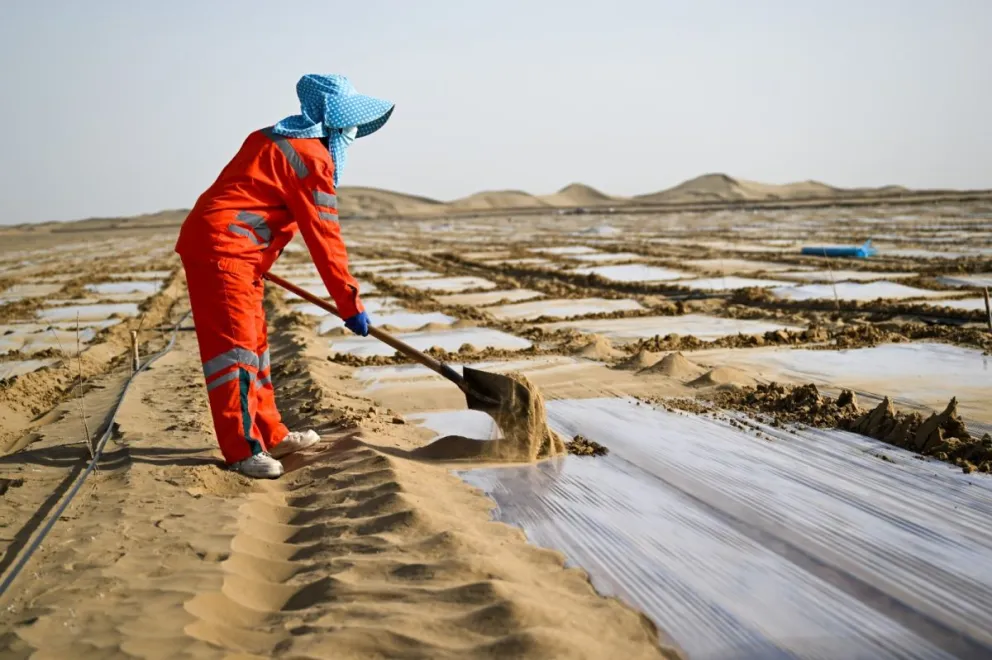 China aceleró la transición ecológica de su modelo de desarrollo y es uno de los países con más rápida disminución de consumo de energía.