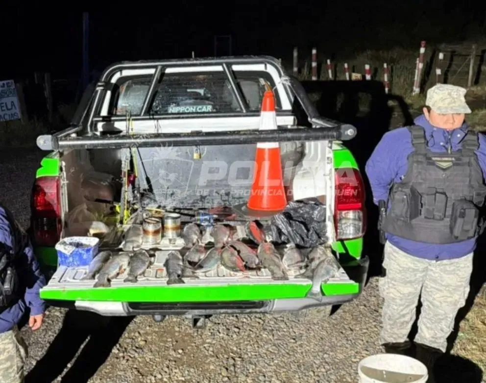 Secuestraron más de 40 ejemplares de trucha arcoíris. Foto: Policía de Neuquén.