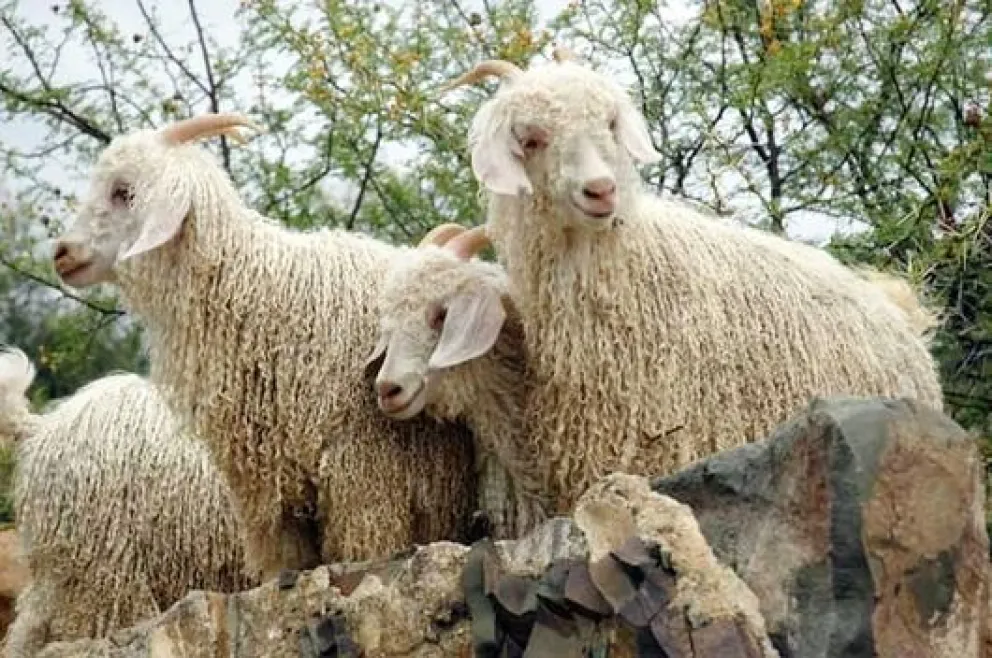 La investigación se extendió hasta abril del 2026. Foto ilustrativa. 