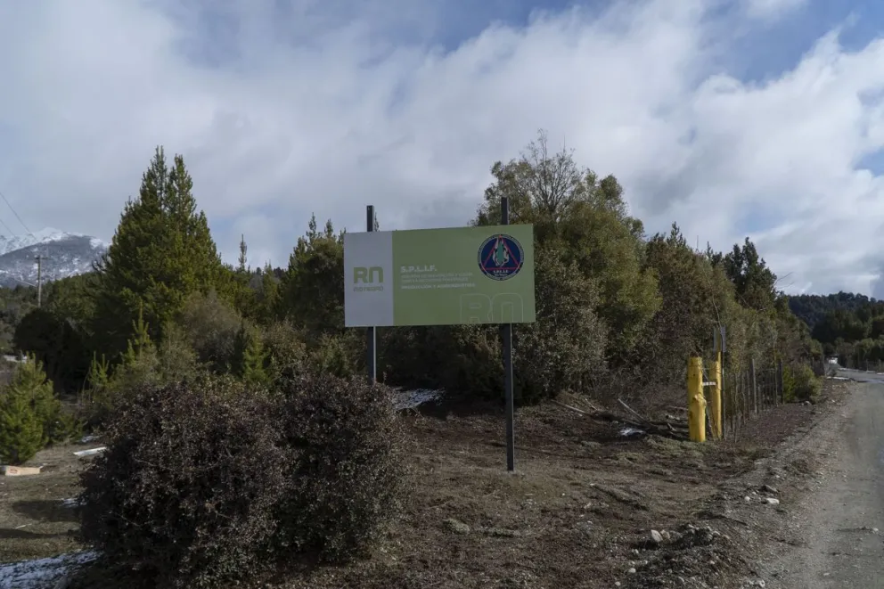 La situación generó alarma pero desde el Splif indicaron que se trata de prácticas realizadas con trazabilidad y actas. Foto: ilustrativa Marcelo Martínez.