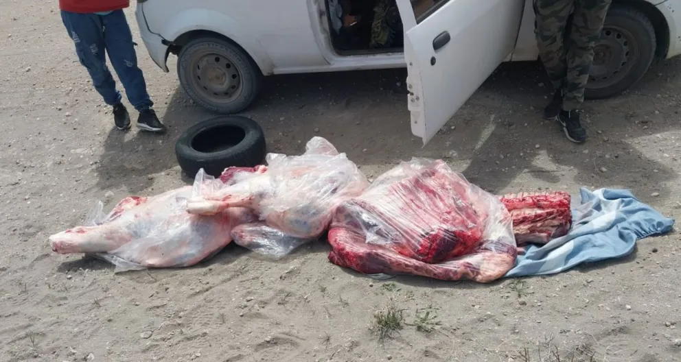 El procedimiento se realizó el miércoles por la tarde en la ruta 40. Foto: Policía de Río Negro.