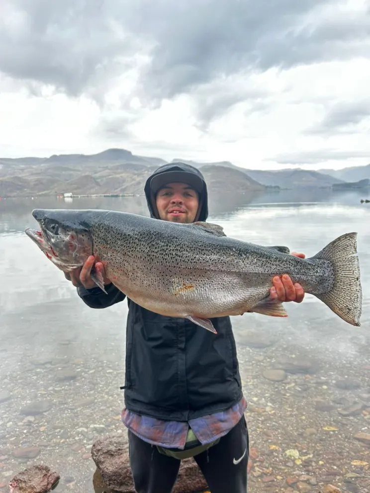 La trucha que pescó el domingo 9 en Alicurá, marcó 8 kg en la balanza. Fotos: gentileza.