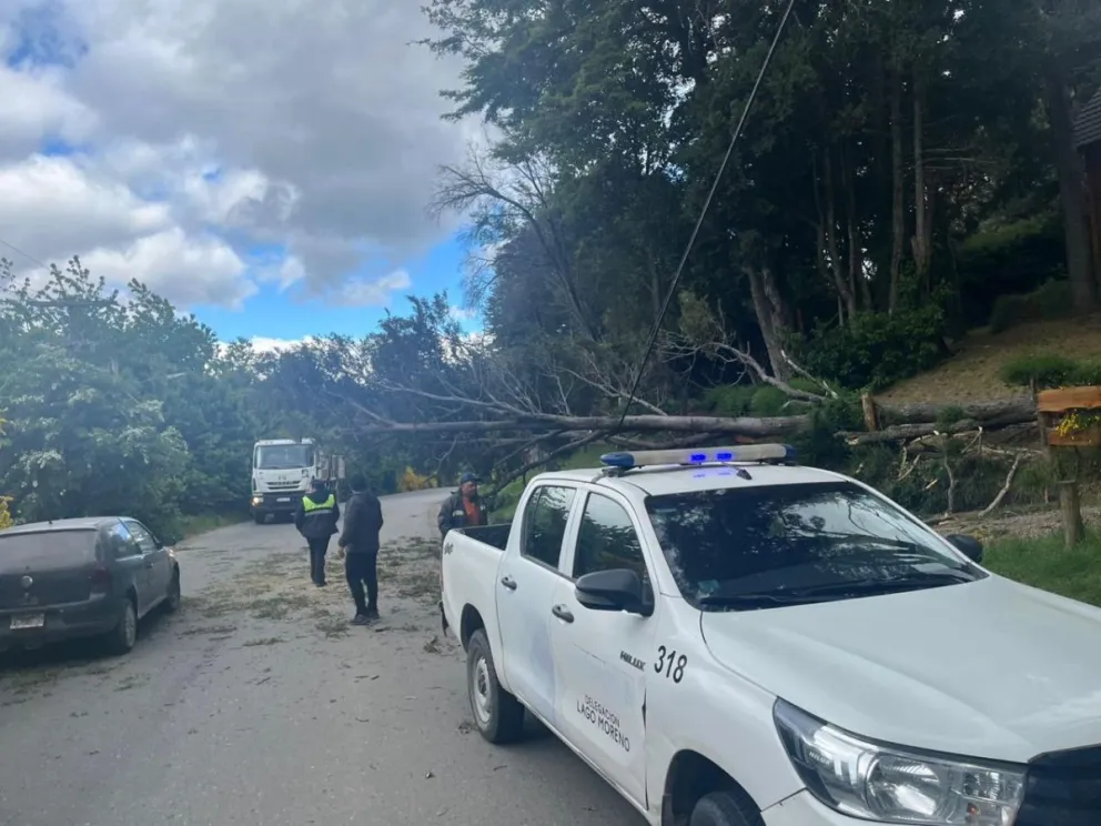 Las ráfagas de viento generaron inconvenientes en distintos puntos de la ciudad. Fotos: Municipalidad de Bariloche.