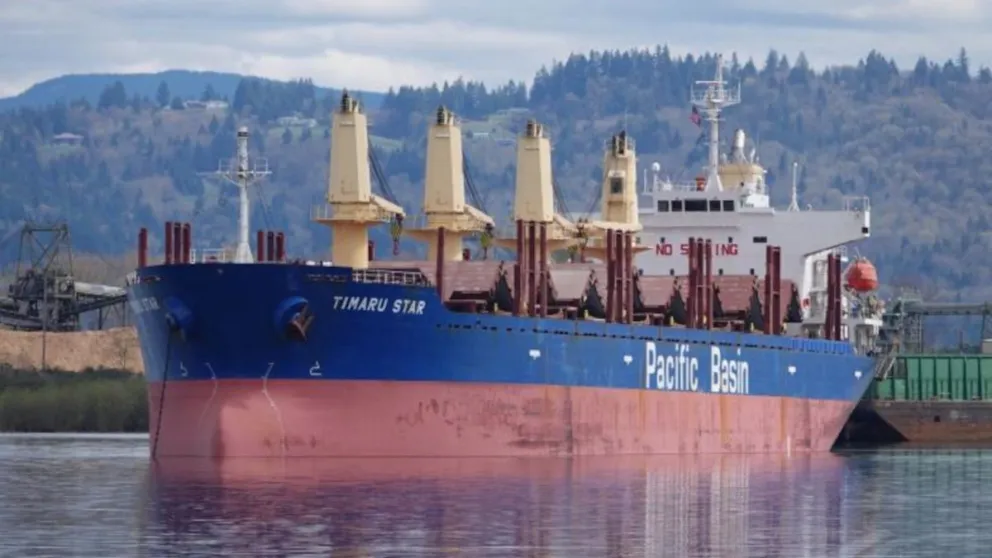 Llegaron 10.000 toneladas de caños al puerto de San Antonio Este. Foto gentileza