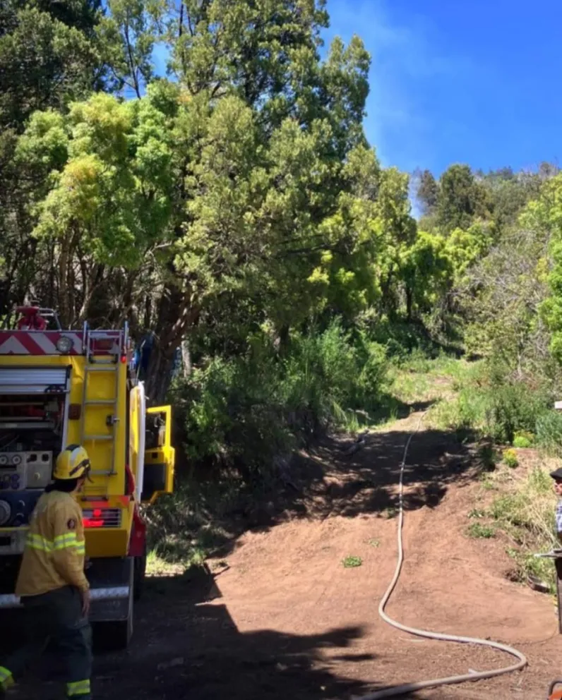El fuego afectó una superficie aproximada de 10 por 5 metros en una zona de pastizales y bosques. Foto: Gentileza.