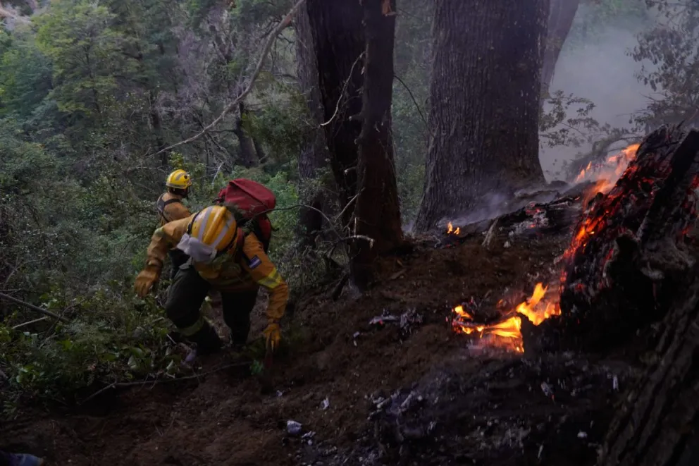 El trabajo de voluntarios y brigadistas es arduo, en un sector de dificil acceso. Foto: Marcelo Martínez