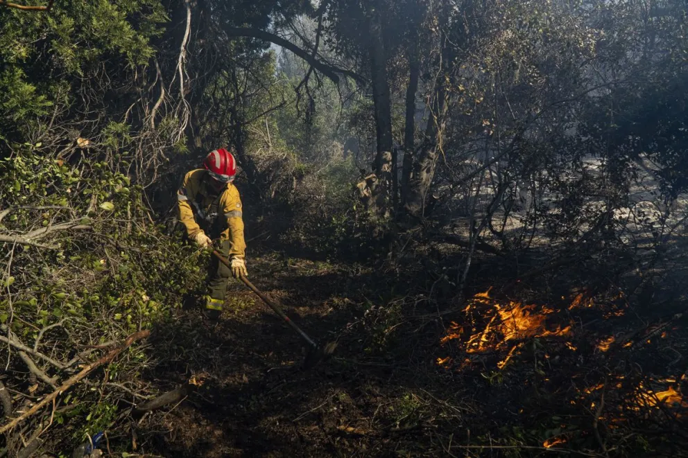 El índice de peligrosidad de incendios es extremo. Foto: ilustrativa Marcelo Martínez.