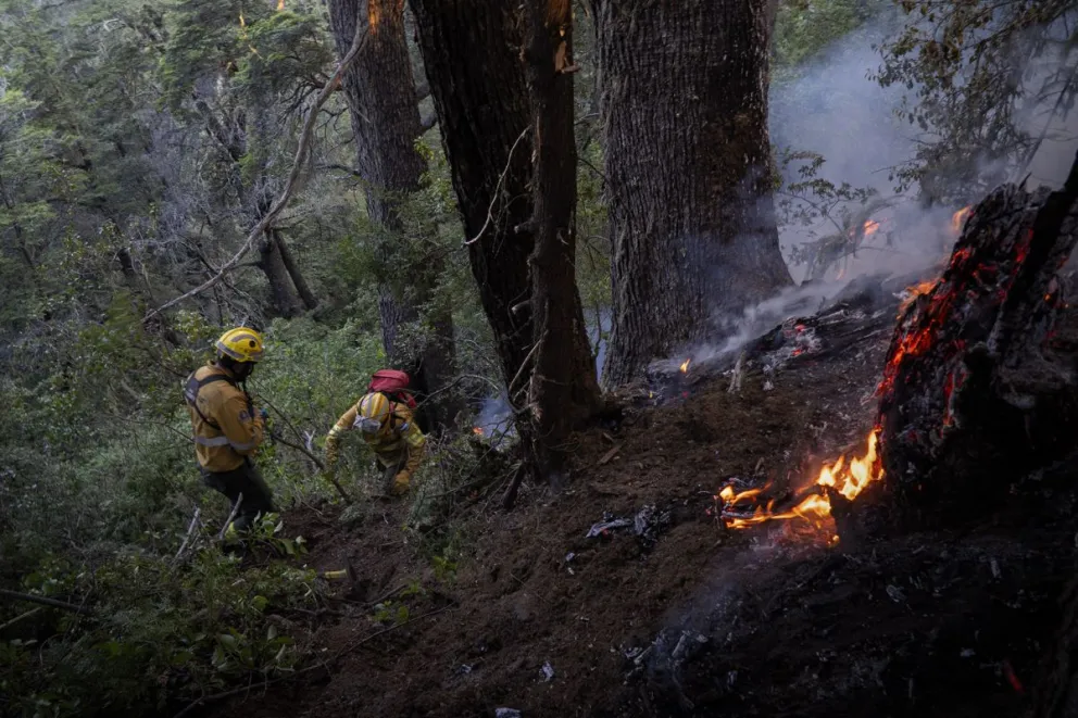 El número preocupa en un contexto de extrema peligrosidad debido a la sequía. Foto: ilustrativa Marcelo Martínez.