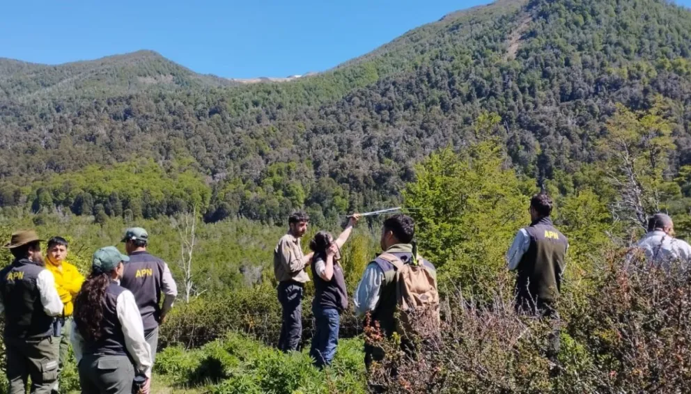 El entrenamiento se enfocó en el seguimiento de Newenche, un ejemplar de huemul. Foto gentileza