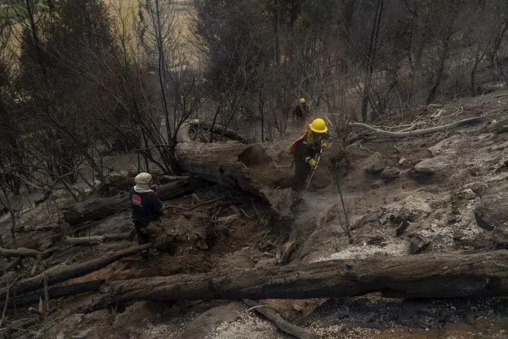 El programa busca mitigar los efectos inmediatos de la emergencia mediante la restitución de bienes y servicios básicos para la población damnificada. Foto: archivo Marcelo Martínez.