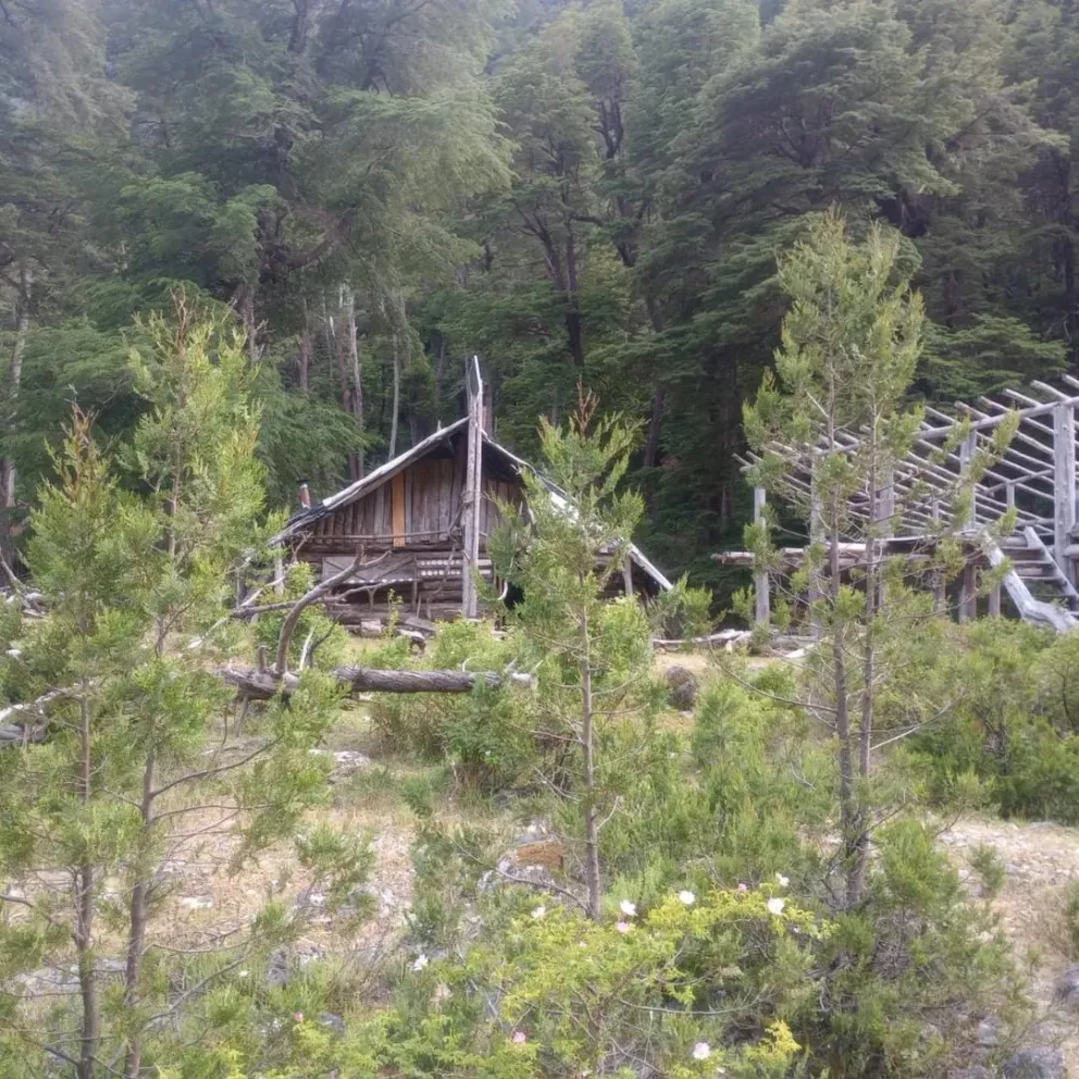 Las instituciones desplegaron un amplio operativo en el terreno. Foto: Splif El Bolsón.