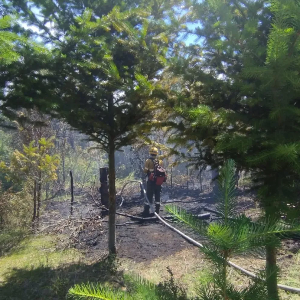 A pesar del trabajo de prevención, siguen combatiendo distintos focos en la zona. Foto gentileza